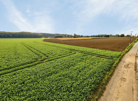 Groene omgeving