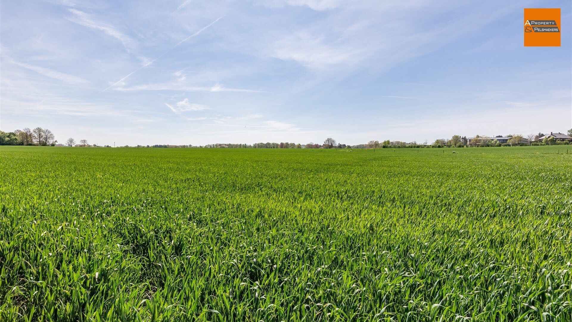 Bouwgrond te koop in HAASRODE