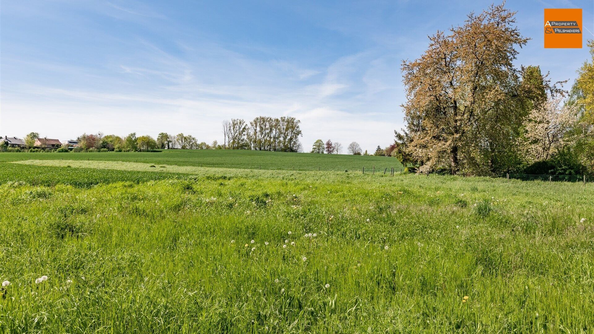 Bouwgrond te koop in HAASRODE